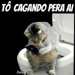 entendi foi nada