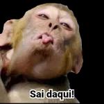 figurinhas