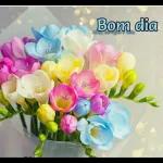 Bom dia!