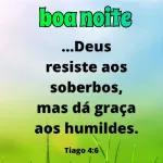 versículos 