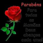 Feliz Dia das Mães