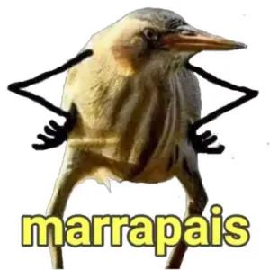 marrapais - getsticker.com