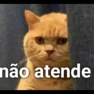 tO4QUV