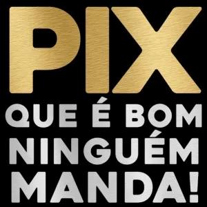 PIX QUE É BOM NINGUÉM MANDA! - getsticker.com