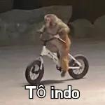 Macaco🐒🥭