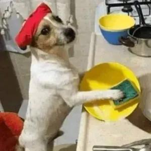 perro lavando los platos - getsticker.com