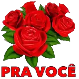 Abracos！