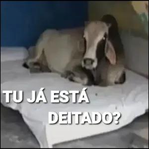 Tu ja esta deitado? - getsticker.com