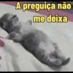 xvideo 