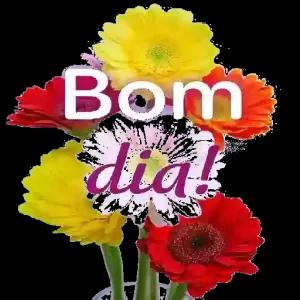 0RDTtL