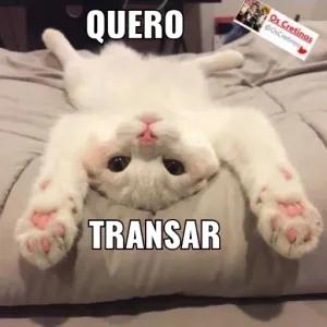 xJTxpr