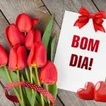 figurinha novo6