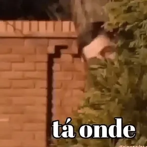qRK5Ju