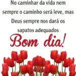 Bom Dia @gotinhasdefeofc Comece o dia desejando algo bom para alguém... Eu escolhi você Desejo que sejas feliz.