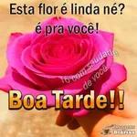 Euzinha