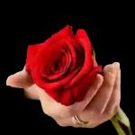 hoje queria vc igualmente