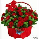 figurinhas em movimento