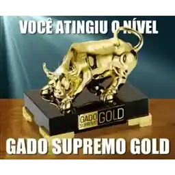 05jCvE