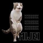 memes 