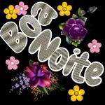 Boa Noite 