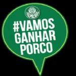 Vamos ganhar porco🏆