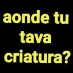  TEM
CABARE
ESSA
NOITE
N