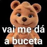 novu pacoti