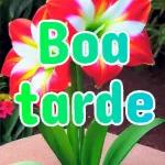 AMÉM Que assim seja