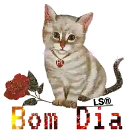 Refrescar o grupo