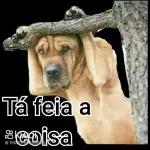 Cheguei, cheguei