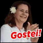 Gostei!