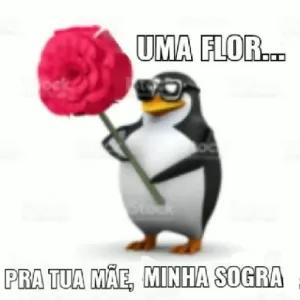 dRJAN3