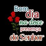 whatzap