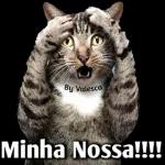 a culpa e sua 