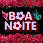 Santo e abençoado dia, sob a proteção de Maria!