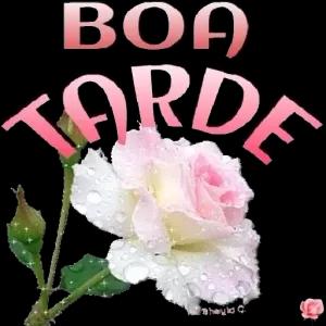 Boa Tarde - getsticker.com