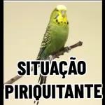 O negócio é do balacobaco