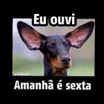 CHEGA