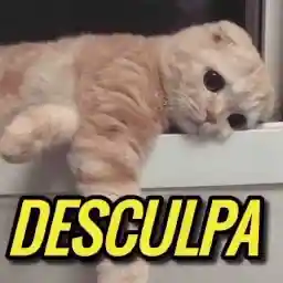 dlnqsx