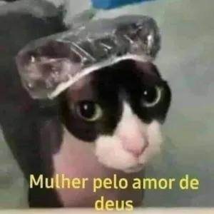 tol6dZ