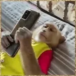 ...