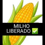 Ciúme