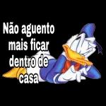 viajar 