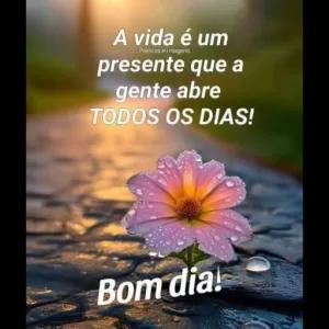 TYQJwW