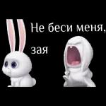 Сама придумала, сама обиделась