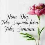 segunda feira 