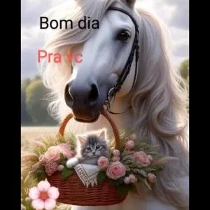 z3Tbk4