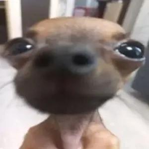 xjGHUV