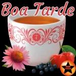 Boa Tarde TOP STICKER