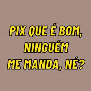 PIX QUE É BOM, NINGUÉM ME MANDA, NÉ? - getsticker.com